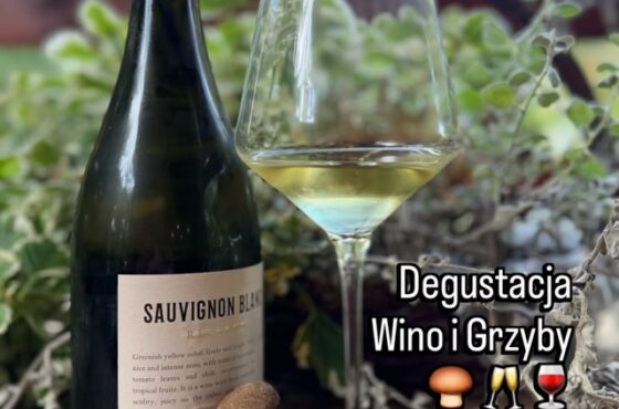 Degustacja wina w Poznaniu 30 października w Imaginarium